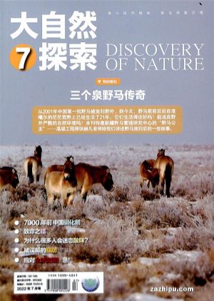 今年冬天去哪玩？这些“乡村游”线路你知道吗？